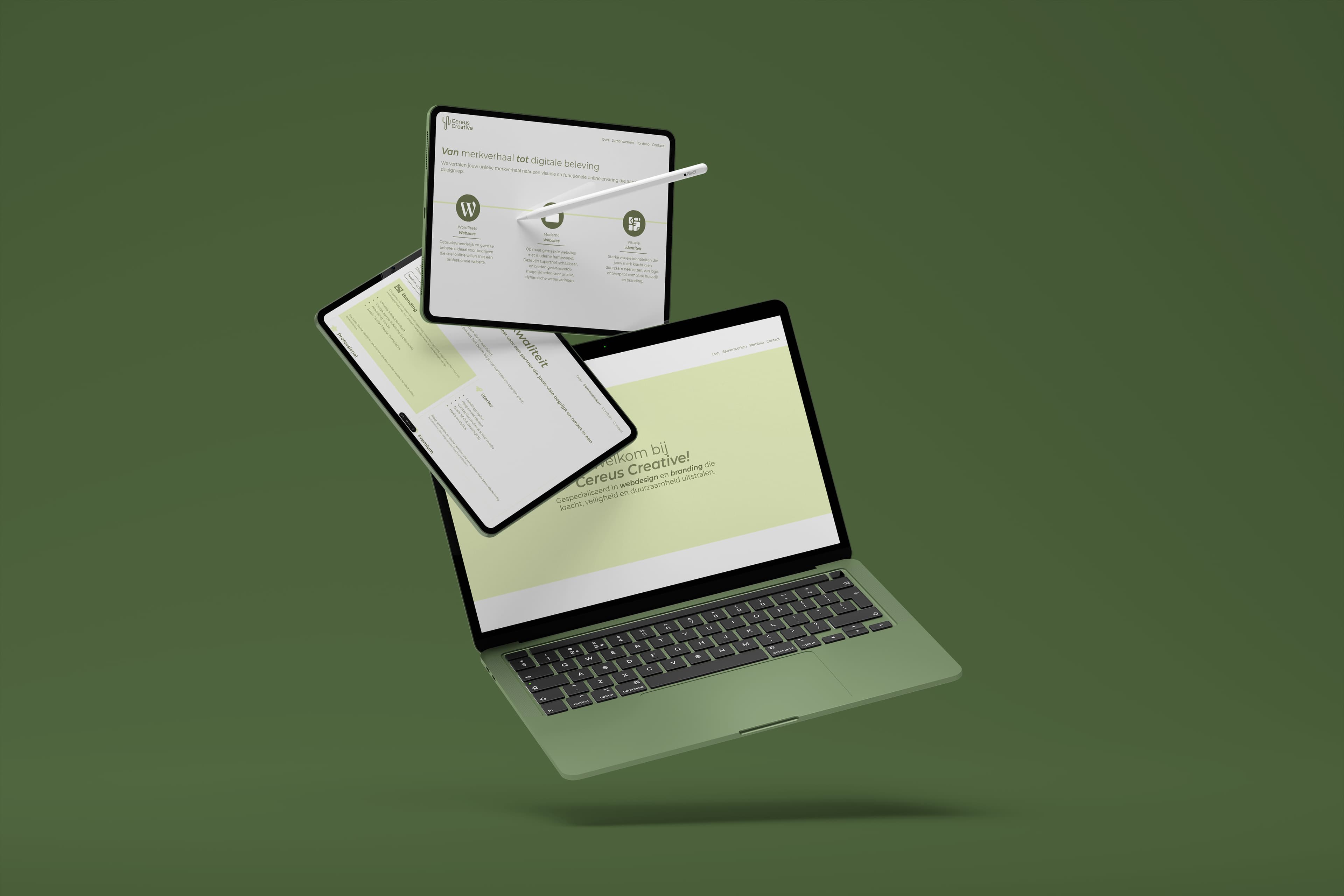 Cereus Creative — Previous portfolio website